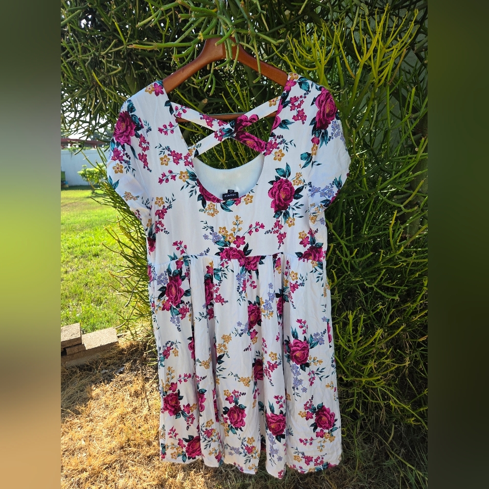 Torrid Floral dress in Pink and White